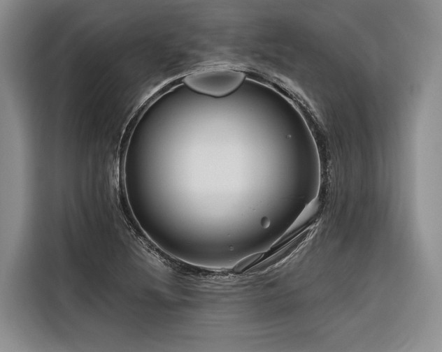 X0000116871220200912221359