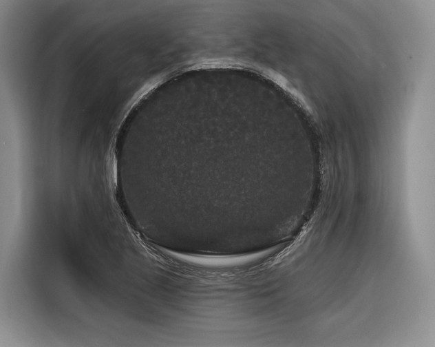 X0000116871221200912221359