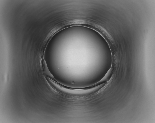 X0000116871225200912221359