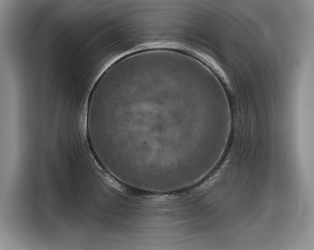 X0000116871228200912221359