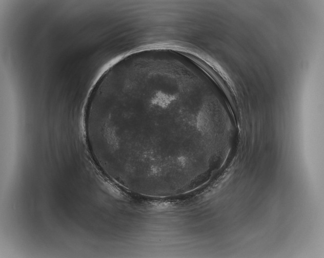 X0000116871230200912221359