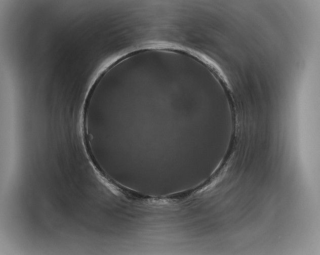 X0000116871231200912221359