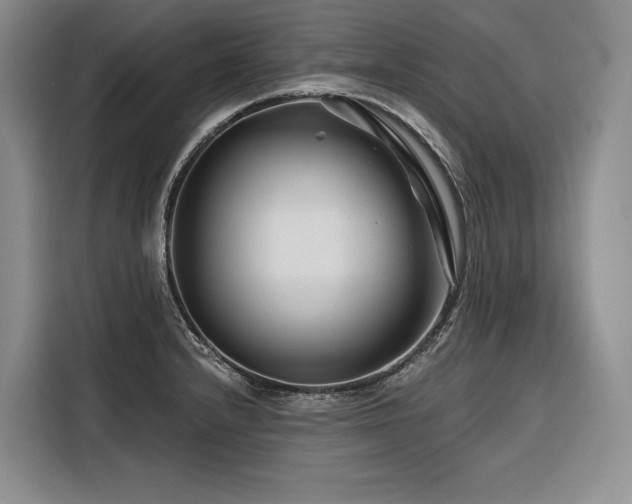 X0000116871232200912221359