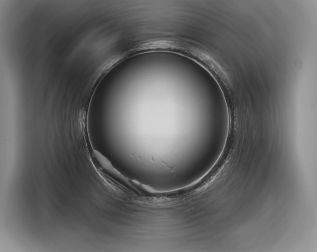 X0000116871233200912221359