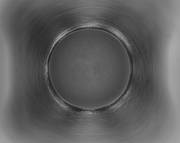 X0000116871234200912221359