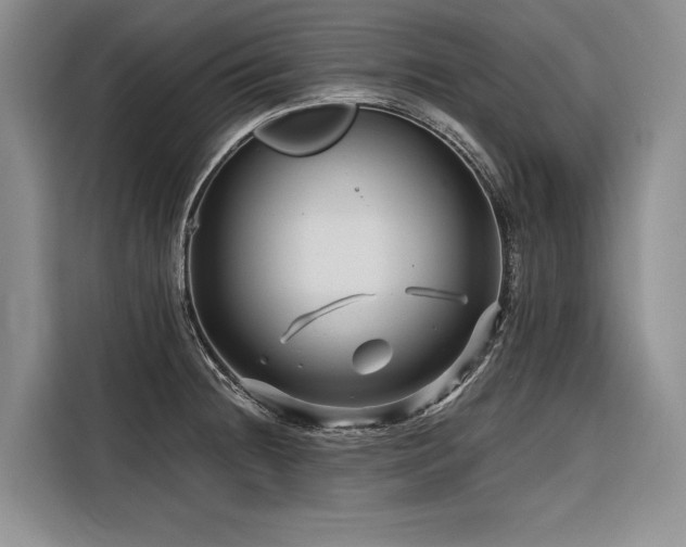 X0000116871236200912221359