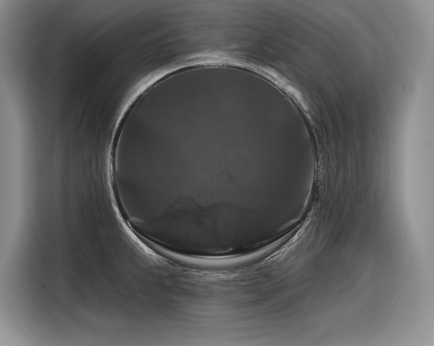 X0000116871239200912221359