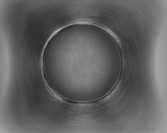 X0000116871240200912221359