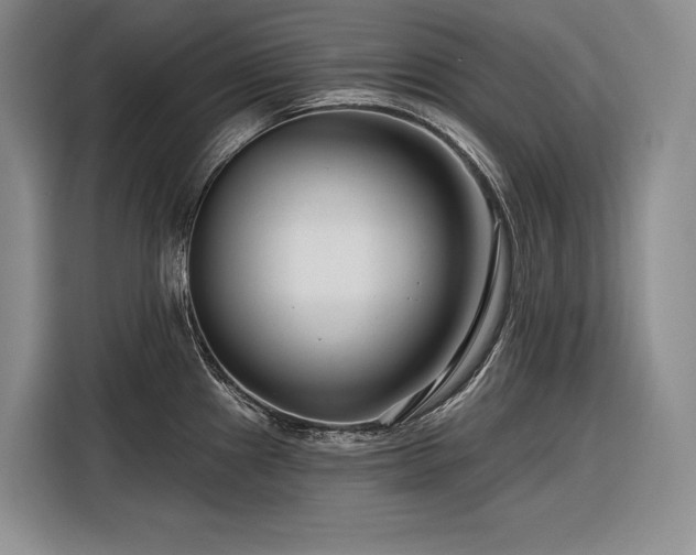X0000116871241200912221359