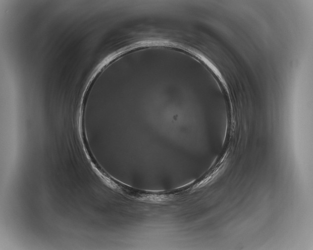X0000116871245200912221359