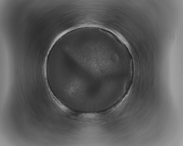 X0000116871246200912221359