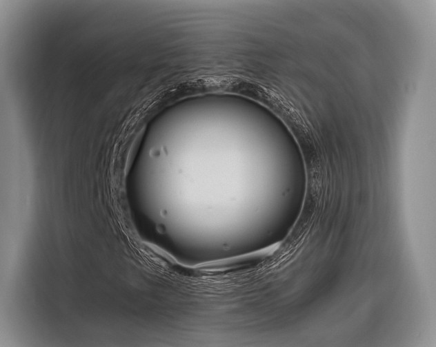 X0000116871249200912221359
