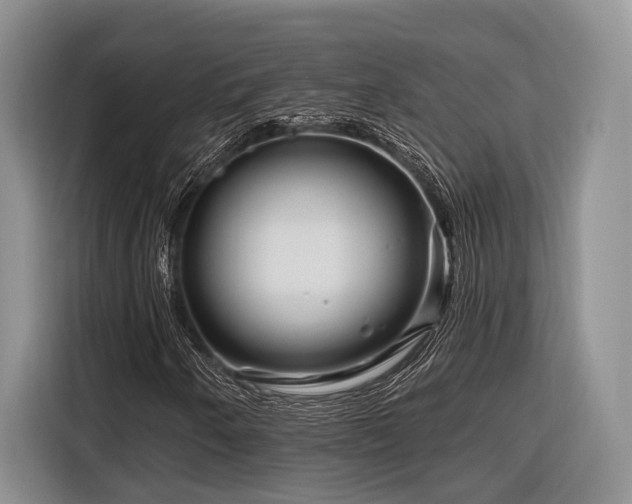 X0000116871250200912221359