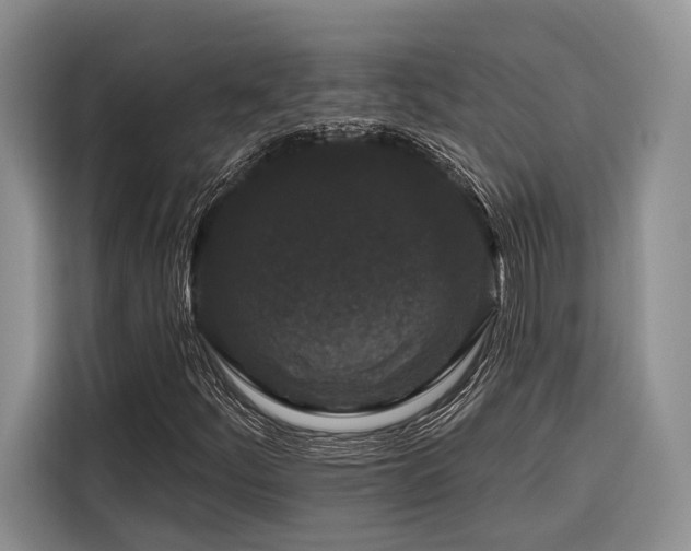 X0000116871252200912221359