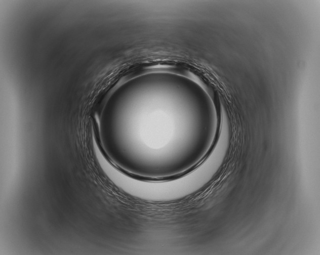 X0000116871253200912221359