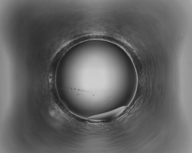 X0000116871255200912221359
