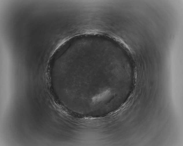 X0000116871256200912221359