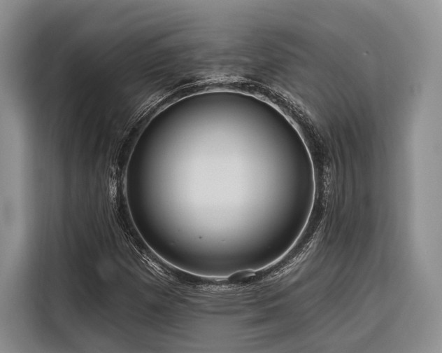 X0000116871257200912221359
