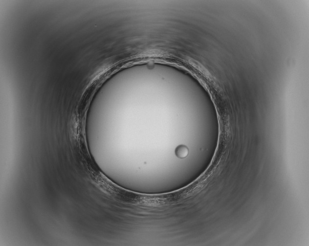 X0000116871258200912221359