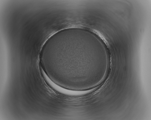 X0000116871260200912221359