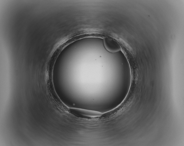 X0000116871261200912221359