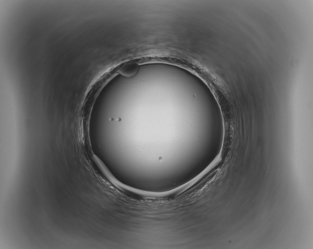 X0000116871262200912221359