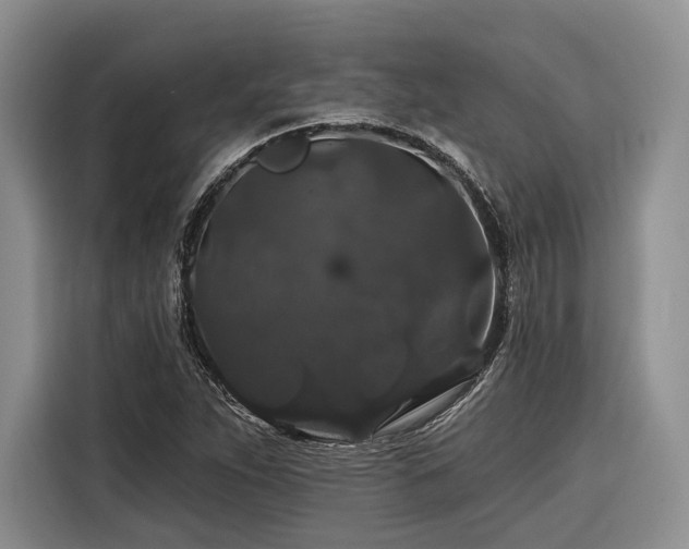 X0000116871263200912221359