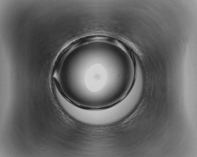 X0000116871264200912221359