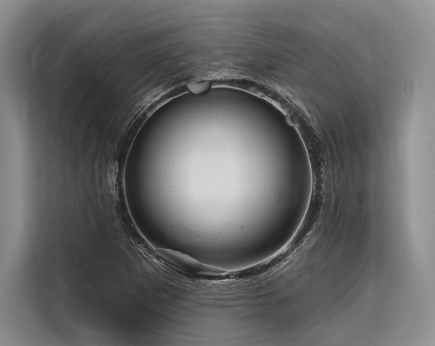 X0000116871265200912221358