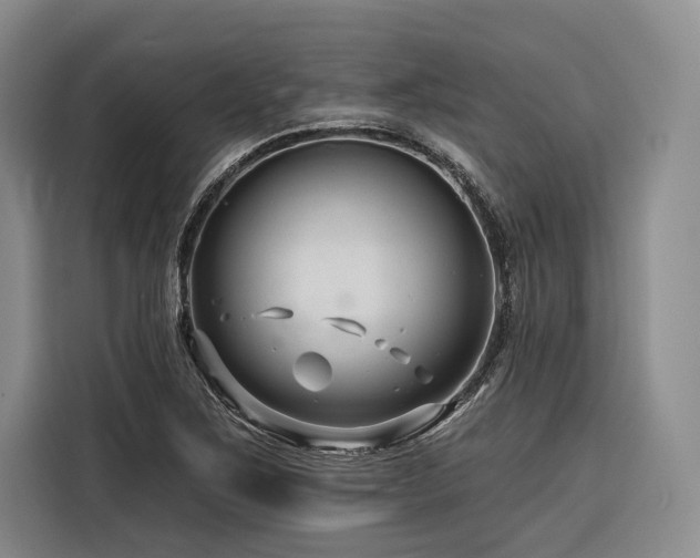 X0000116871267200912221358