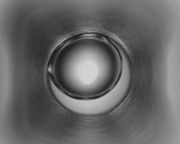 X0000116871269200912221358