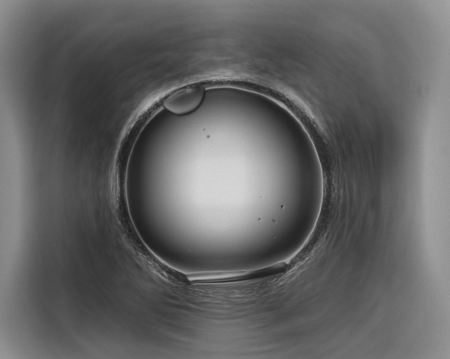 X0000116871270200912221358