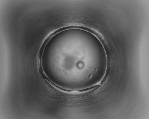 X0000116871271200912221358