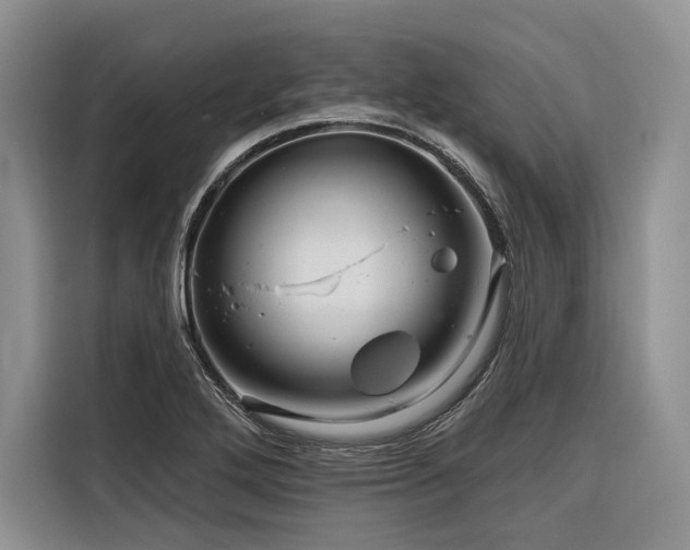 X0000116871272200912221358