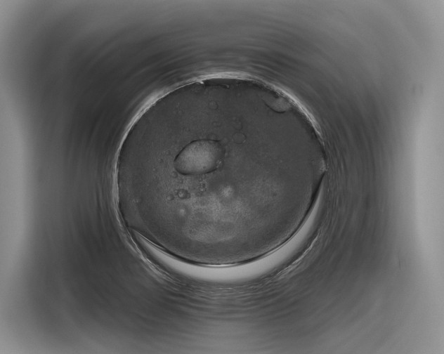 X0000116871274200912221358