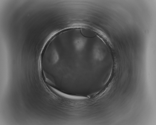 X0000116871275200912221358
