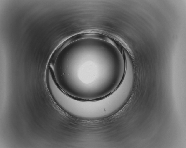 X0000116871276200912221358