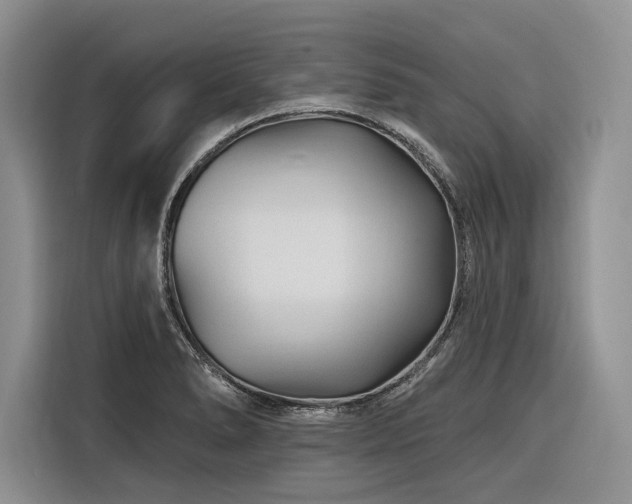 X0000116871278200912221358
