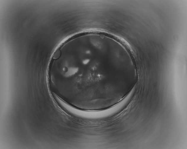 X0000116871279200912221358