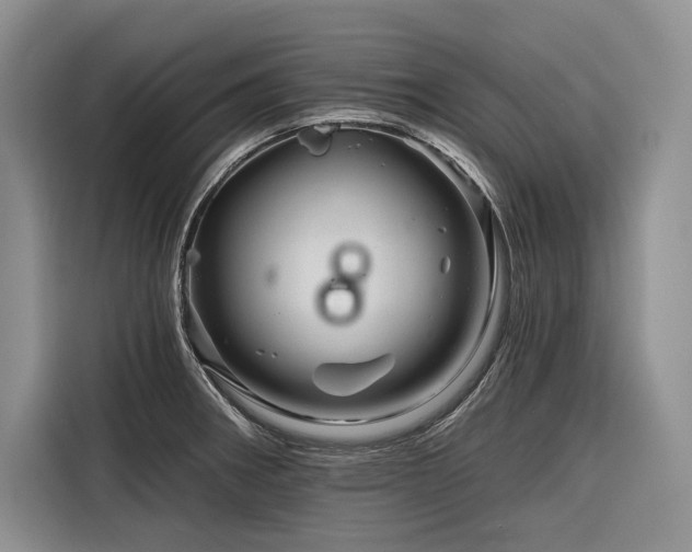 X0000116871282200912221358