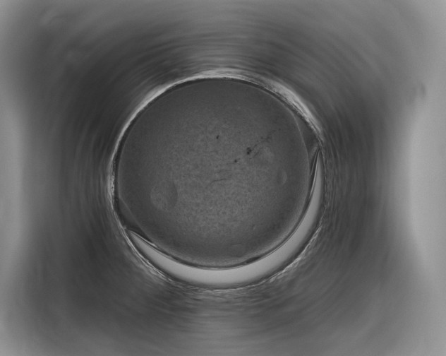 X0000116871284200912221358