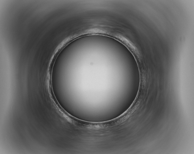 X0000116871286200912221358