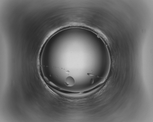 X0000116871287200912221358