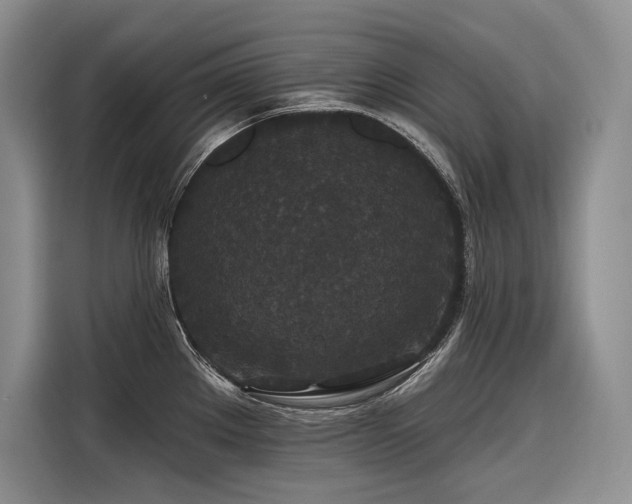 X0000116871289200912221358