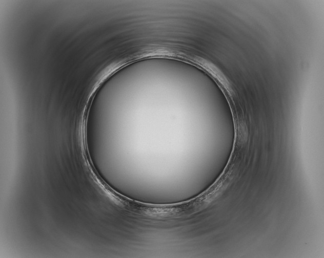 X0000116871290200912221358