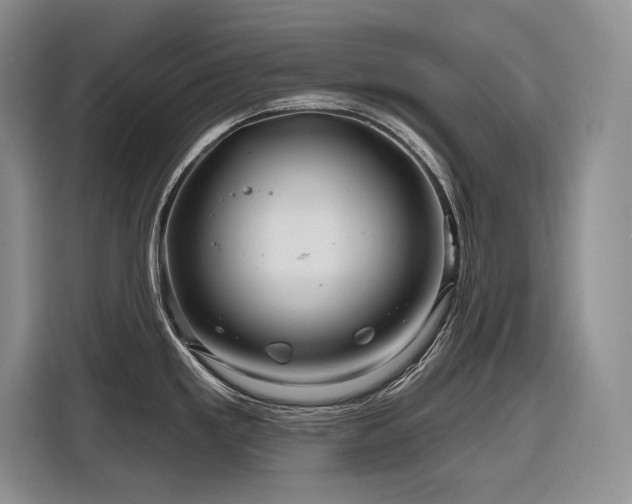 X0000116871293200912221358