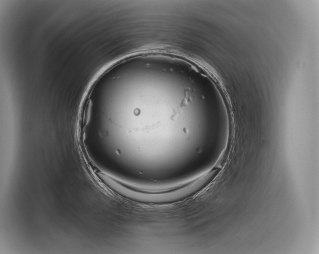 X0000116871296200912221358
