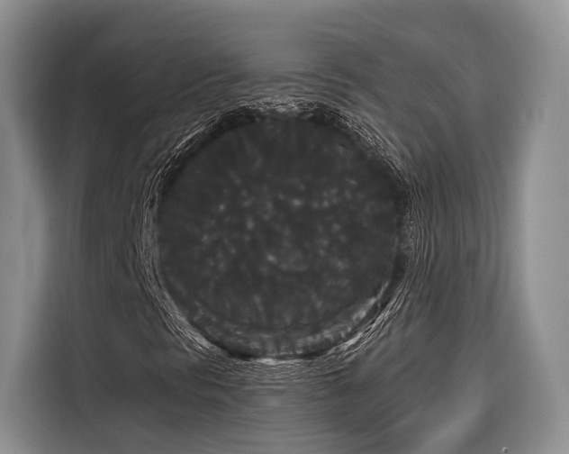 X0000116871297200912221357