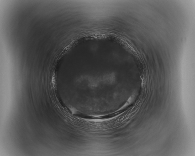 X0000116871298200912221357