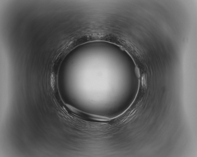 X0000116871299200912221358